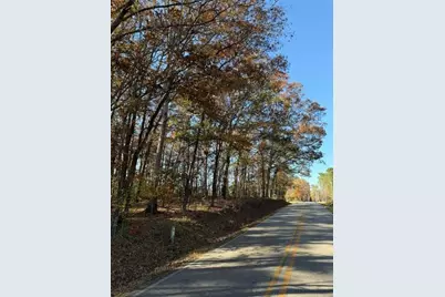 0 Adams Road, Covington, GA 30014 - Photo 3