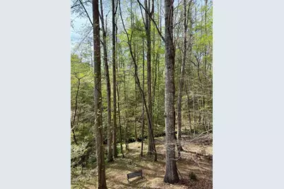 294 Brookwood Lane, Clarkesville, GA 30523 - Photo 51