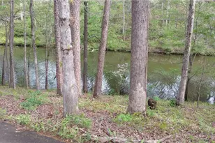 8155 Stone Hill Rd, Cumming, GA 30028 - Photo 5