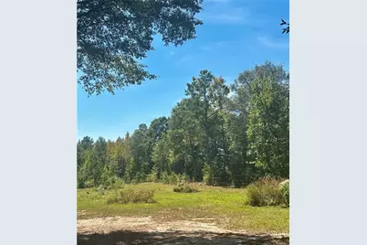 0 Newnan Road, Brooks, GA 30205 - Photo 9