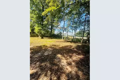 0 Newnan Road, Brooks, GA 30205 - Photo 3