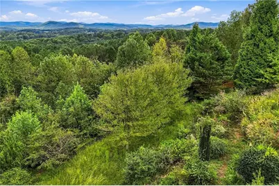 100 Foxpaw Leaf Court, Ellijay, GA 30536 - Photo 3