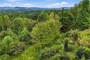 100 Foxpaw Leaf Ct, Ellijay, GA 30536 - Photo 3