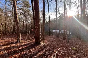 615 Gunstock Crk Ln, Ellijay, GA 30540 - Photo 21