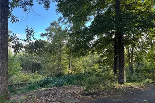 210 Miller Mountain Road SW, Lindale, GA 30147 - Photo 57
