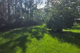 340 Avera Mill Rd, Nashville, GA 31639 - Photo 35
