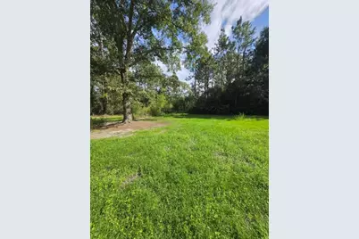 340 Avera Mill Road, Nashville, GA 31639 - Photo 41