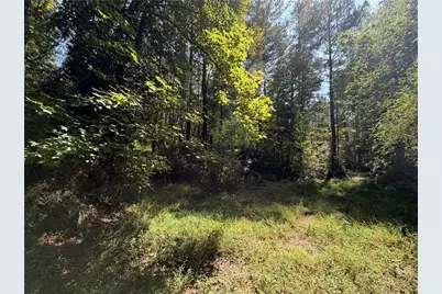761 Roscoe Collette Road, Dawsonville, GA 30534 - Photo 19