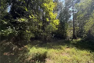 761 Roscoe Collette Rd, Dawsonville, GA 30534 - Photo 19