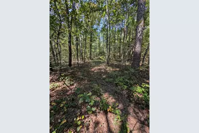 70 Pearl Lane, Cartersville, GA 30120 - Photo 39