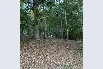 126 Big Cotton Trail, McDonough, GA 30252 - Photo 5