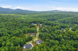 115 Brighton Rd, Ball Ground, GA 30107 - Photo 41