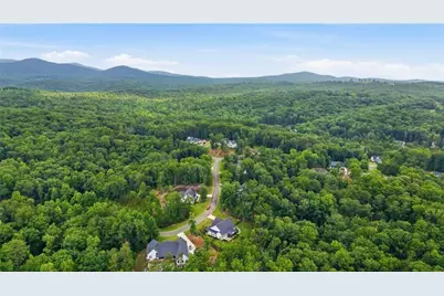 115 Brighton Road, Ball Ground, GA 30107 - Photo 45
