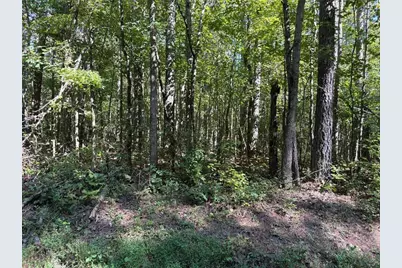 003 Bullock Farm Road, Dallas, GA 30157 - Photo 13