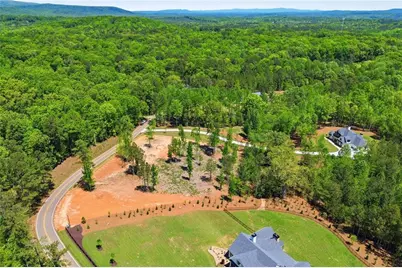 460 Mt. Olive Church Lane, Canton, GA 30114 - Photo 5