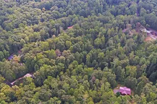 75 Farley Ct, Ellijay, GA 30540 - Photo 63