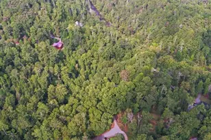 75 Farley Ct, Ellijay, GA 30540 - Photo 61