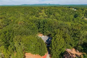 755 Old Hornage Rd, Ball Ground, GA 30107 - Photo 39