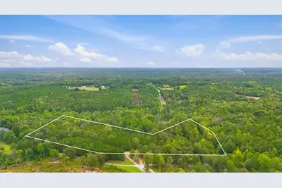 138 Roy Dean Road, Buchanan, GA 30113 - Photo 3