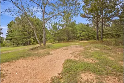 138 Roy Dean Road, Buchanan, GA 30113 - Photo 19