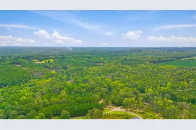 138 Roy Dean Road, Buchanan, GA 30113 - Photo 9
