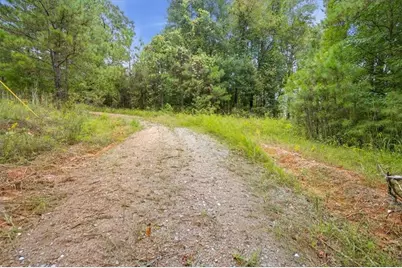 138 Roy Dean Road, Buchanan, GA 30113 - Photo 27