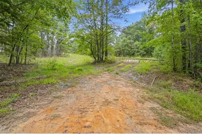 138 Roy Dean Road, Buchanan, GA 30113 - Photo 29