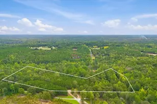 138 Roy Dean Rd, Buchanan, GA 30113 - Photo 1
