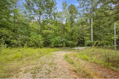 138 Roy Dean Road, Buchanan, GA 30113 - Photo 25