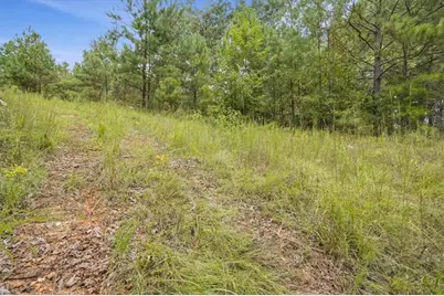 138 Roy Dean Road, Buchanan, GA 30113 - Photo 33