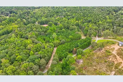 138 Roy Dean Road, Buchanan, GA 30113 - Photo 11