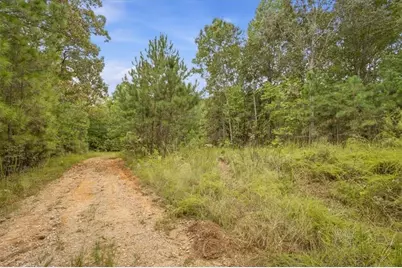 138 Roy Dean Road, Buchanan, GA 30113 - Photo 35