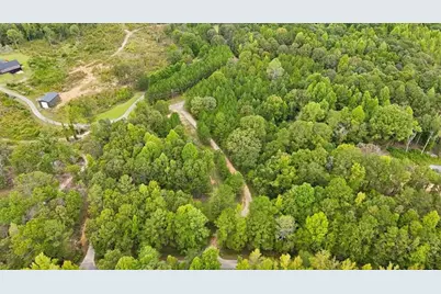 138 Roy Dean Road, Buchanan, GA 30113 - Photo 13