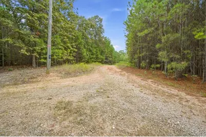 138 Roy Dean Road, Buchanan, GA 30113 - Photo 37