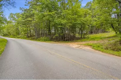 138 Roy Dean Road, Buchanan, GA 30113 - Photo 31