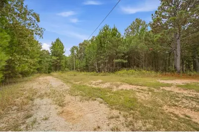 138 Roy Dean Road, Buchanan, GA 30113 - Photo 23