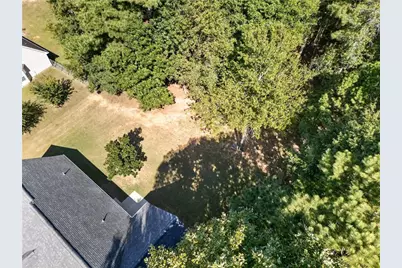 316 Cobb Court, Hampton, GA 30228 - Photo 29