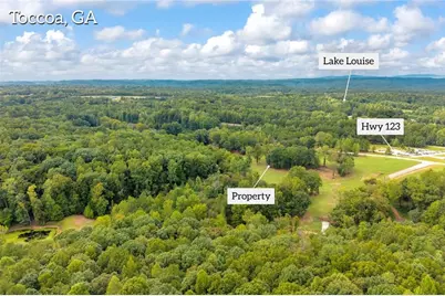 2104 Hwy 123, Toccoa, GA 30577 - Photo 5