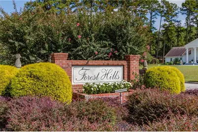 151 Pine Forest Drive, Lawrenceville, GA 30046 - Photo 35