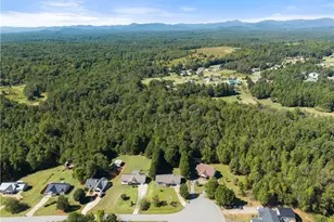 313 Hawthorne Dr, Cleveland, GA 30528 - Photo 41