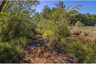 8995 Gullatt Road, Palmetto, GA 30268 - Photo 83