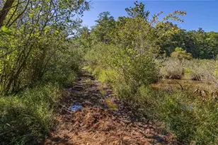 8995 Gullatt Rd, Palmetto, GA 30268 - Photo 83