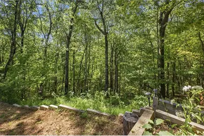 447 Renate Drive, Jasper, GA 30143 - Photo 47
