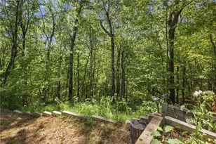 447 Renate Dr, Jasper, GA 30143 - Photo 47