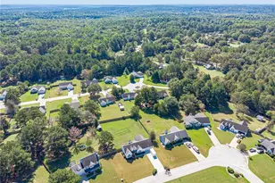 3021 Black Fox Dr, Loganville, GA 30052 - Photo 59