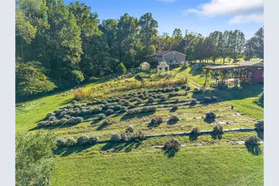 2882 Red Oak Flats Road, Dahlonega, GA 30533 - Photo 83