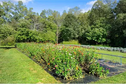 2882 Red Oak Flats Road, Dahlonega, GA 30533 - Photo 41