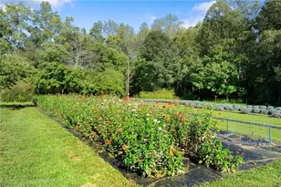 2882 Red Oak Flats Rd, Dahlonega, GA 30533 - Photo 41