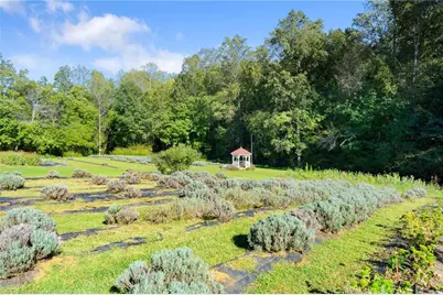 2882 Red Oak Flats Road, Dahlonega, GA 30533 - Photo 31