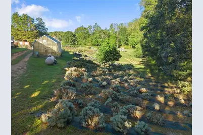 2882 Red Oak Flats Road, Dahlonega, GA 30533 - Photo 19